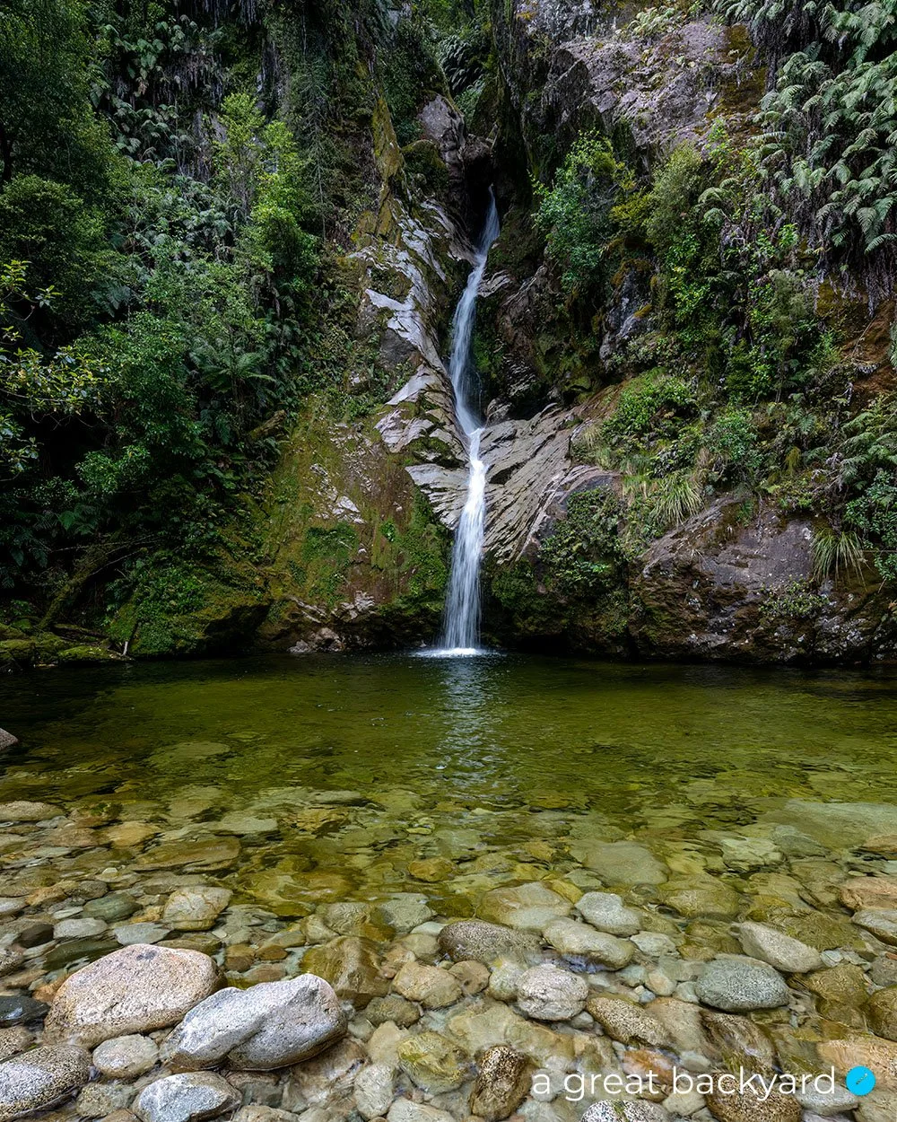 Dorothy Falls by Corin Walker Bain | a great backyard print & design