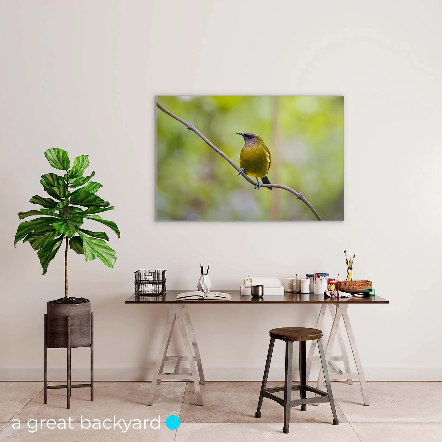 Bellbird portrait by Corin Walker Bain | Acrylic & ACM prints — a great ...