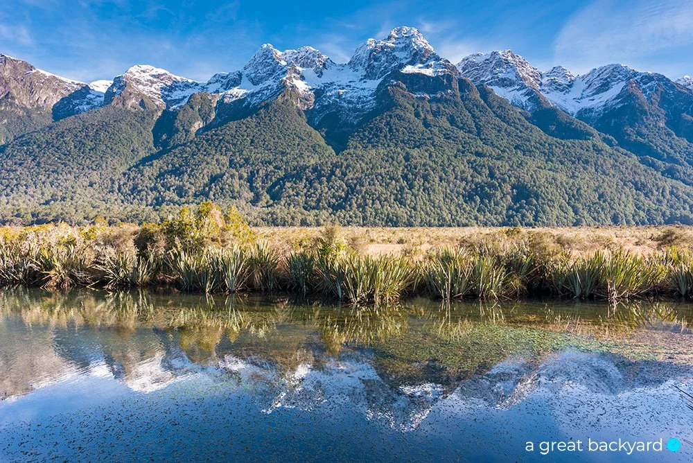Mirror Tarn by Corin Walker Bain | a great backyard