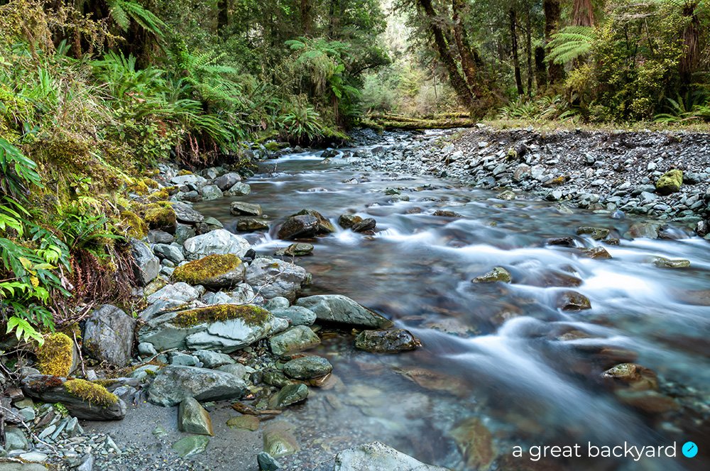 Cahir Creek, Fiordland National Park, New Zealand