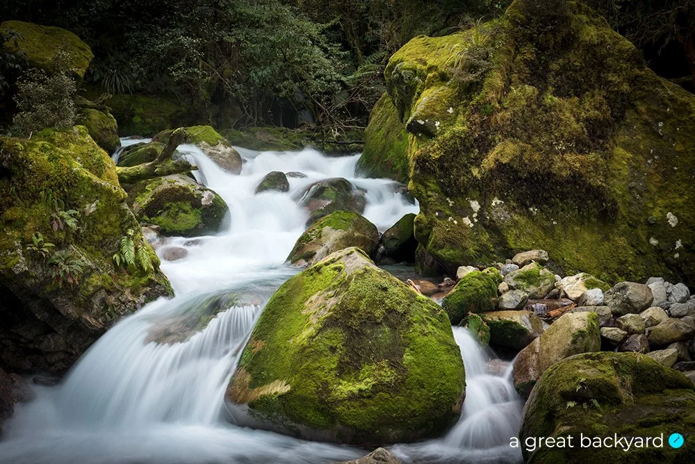 Marion Creek, Fiordland National Park, New Zealand