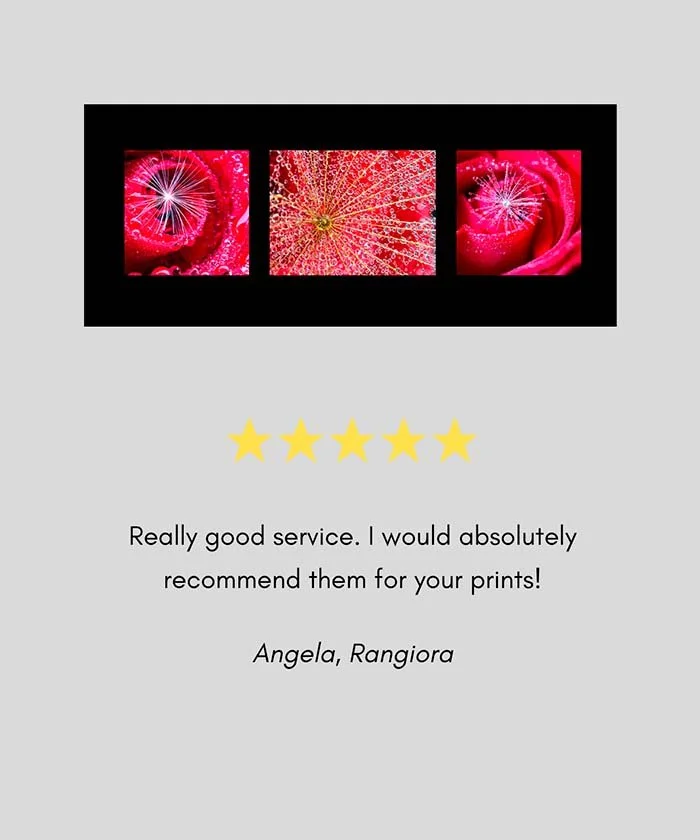 five-star-review-a-great-backyard-print-photography-new-zealand.jpg