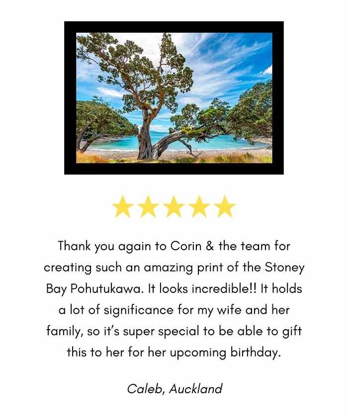 five-star-review-a-great-backyard-print-photography-new-zealand.jpg