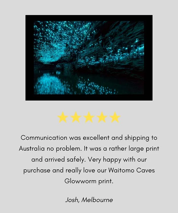 five-star-review-a-great-backyard-print-photography-new-zealand.jpg