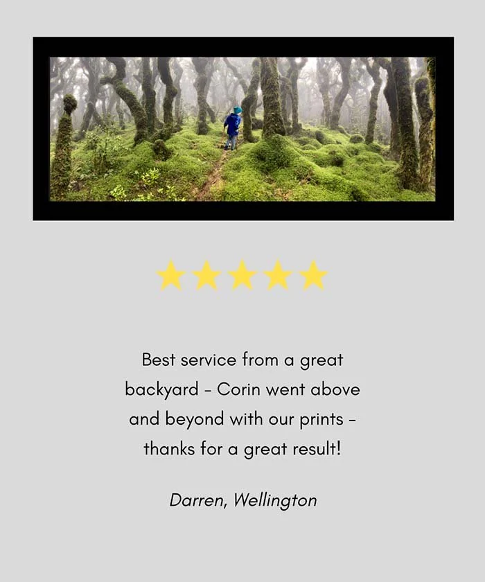 five-star-review-a-great-backyard-print-photography-new-zealand.jpg