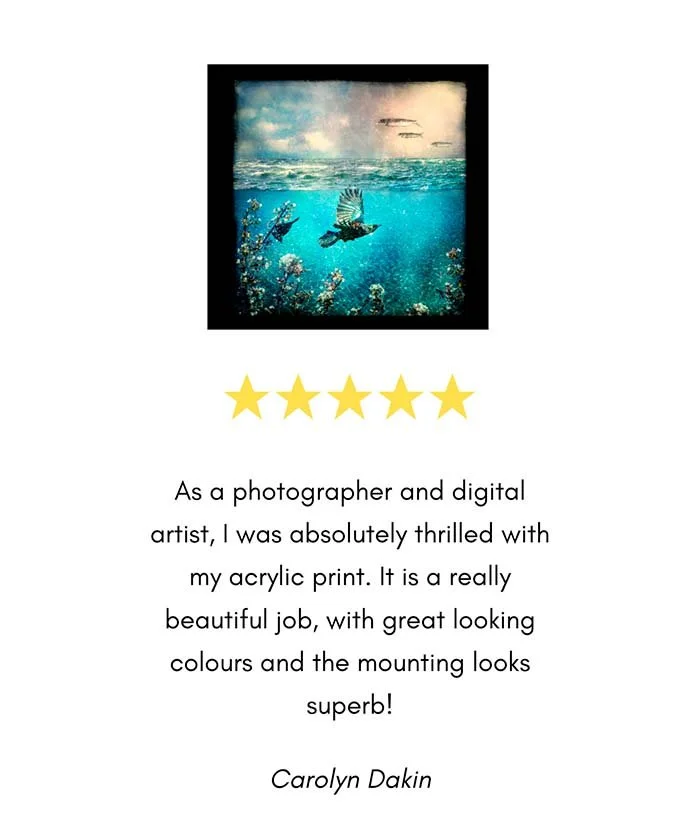five-star-review-a-great-backyard-print-photography-new-zealand.jpg