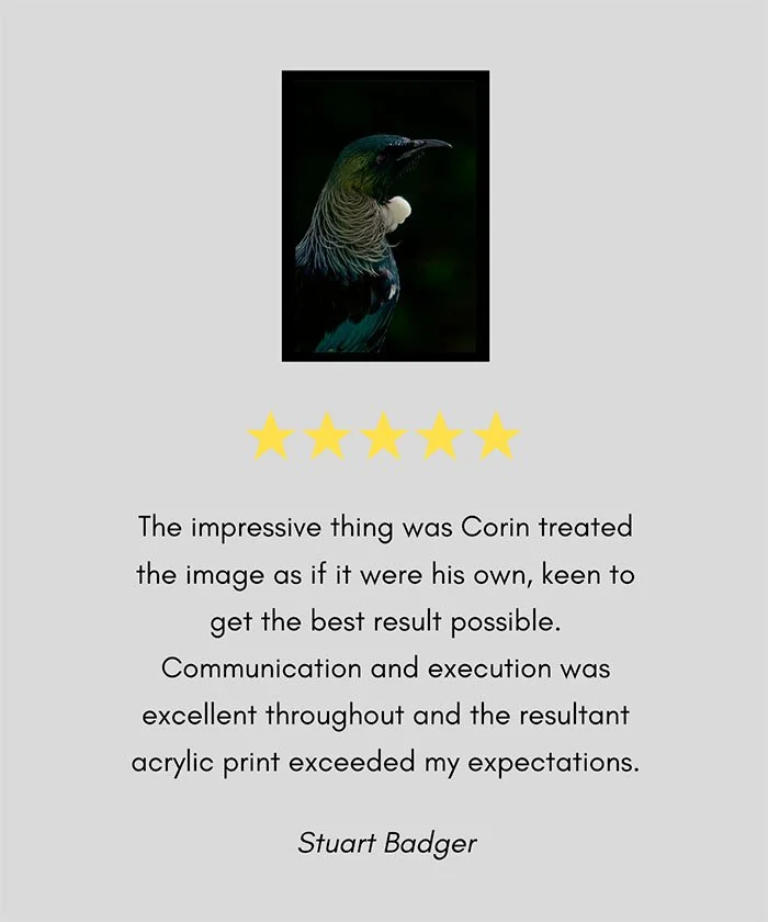five-star-review-a-great-backyard-print-photography-new-zealand.jpg