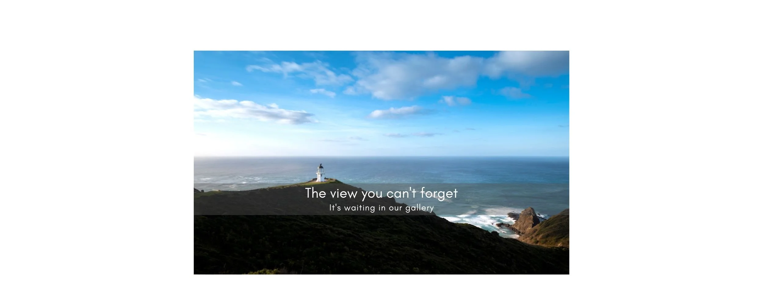 11. iconic-nz-moments-kiwi-wildlife-photography-a-great-backyard.jpg