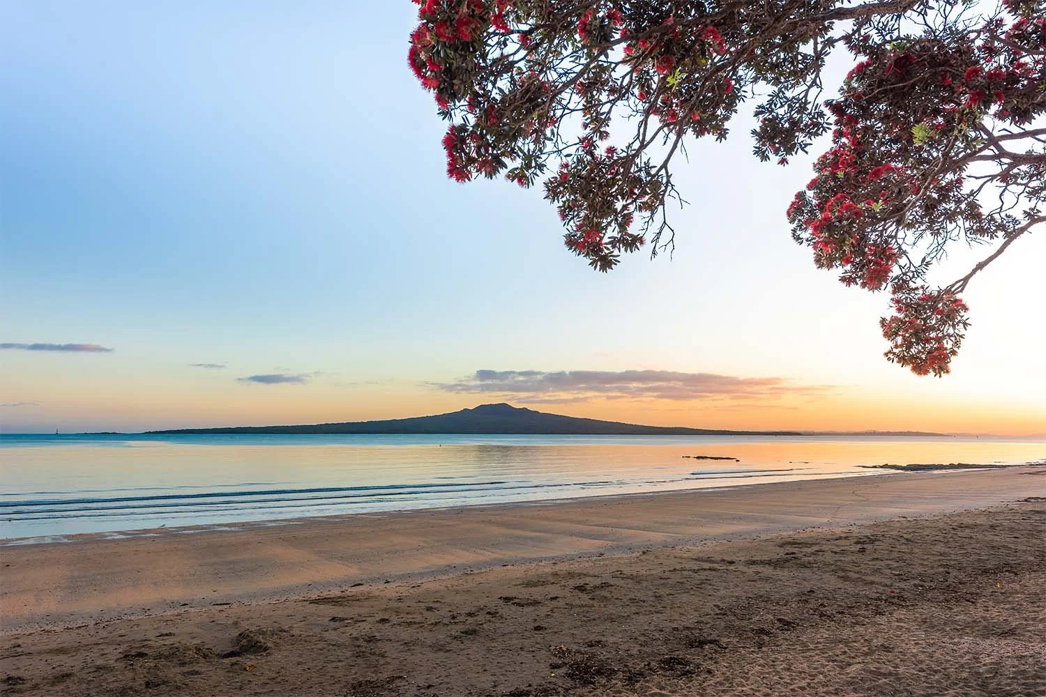 AUCKLAND