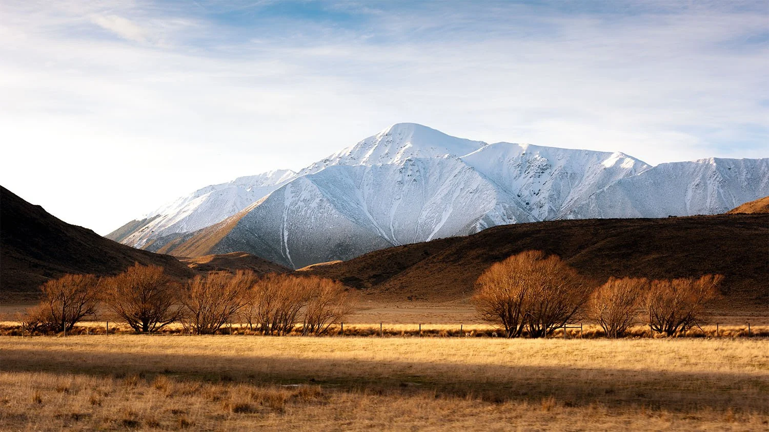 ARTHUR'S PASS