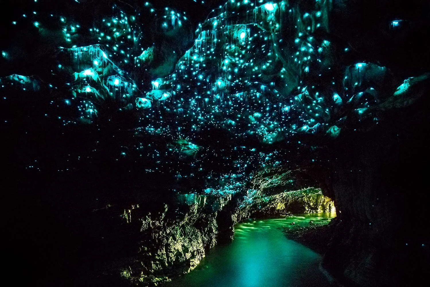 WAITOMO CAVES