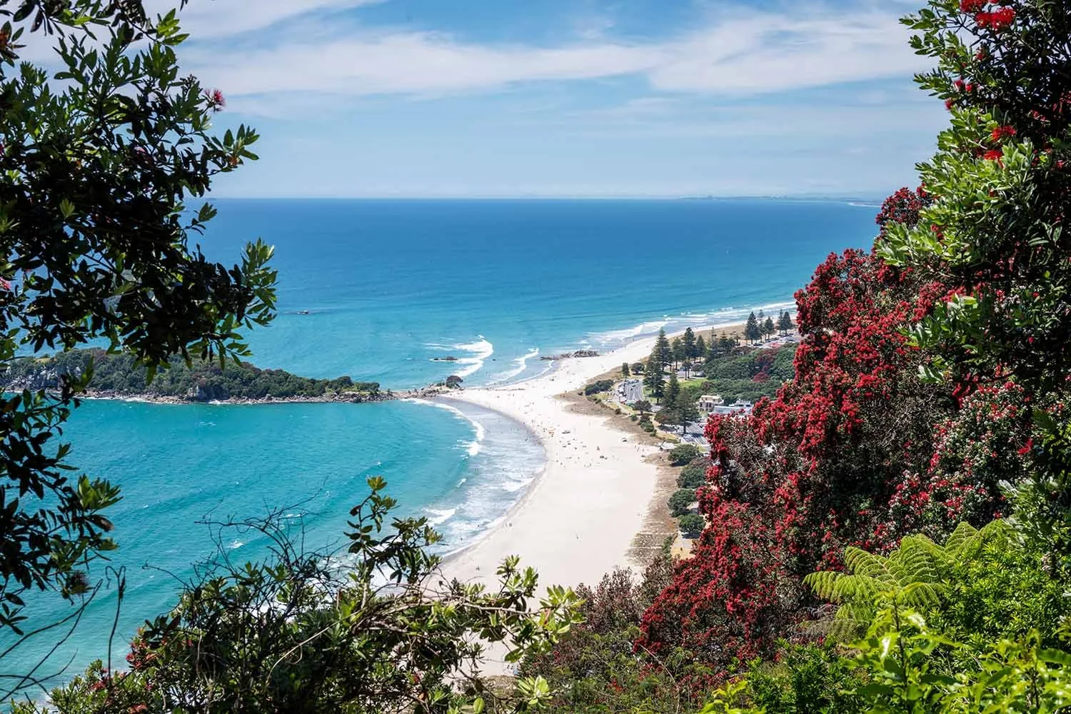 BAY OF PLENTY