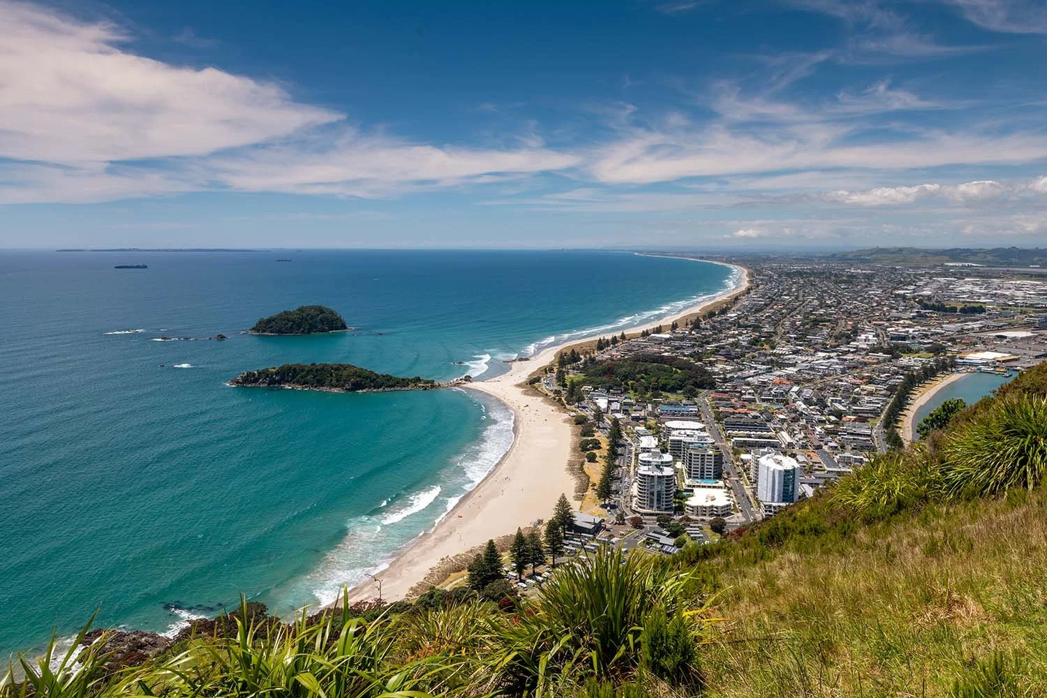 BAY OF PLENTY