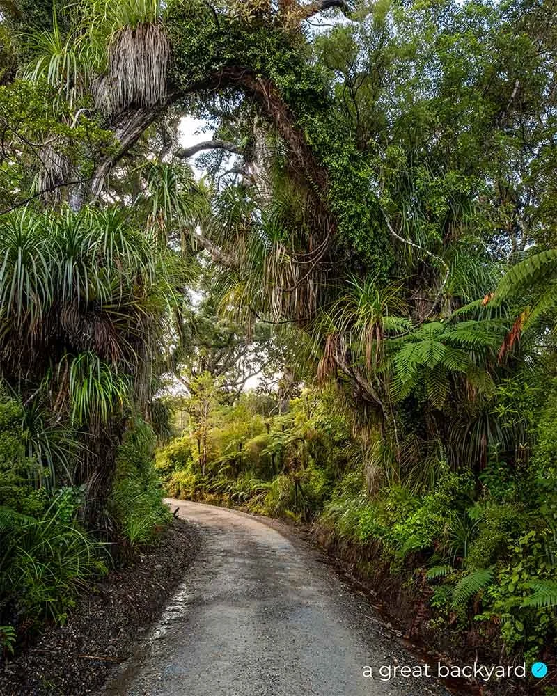 Road to Anatori print hanging on home wall | a great backyard prints proudly made in NZ