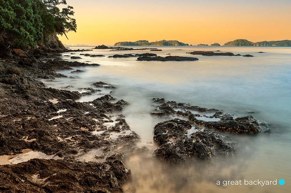 Anamatuku Bay dawn by Corin Walker Bain | a great backyard photography