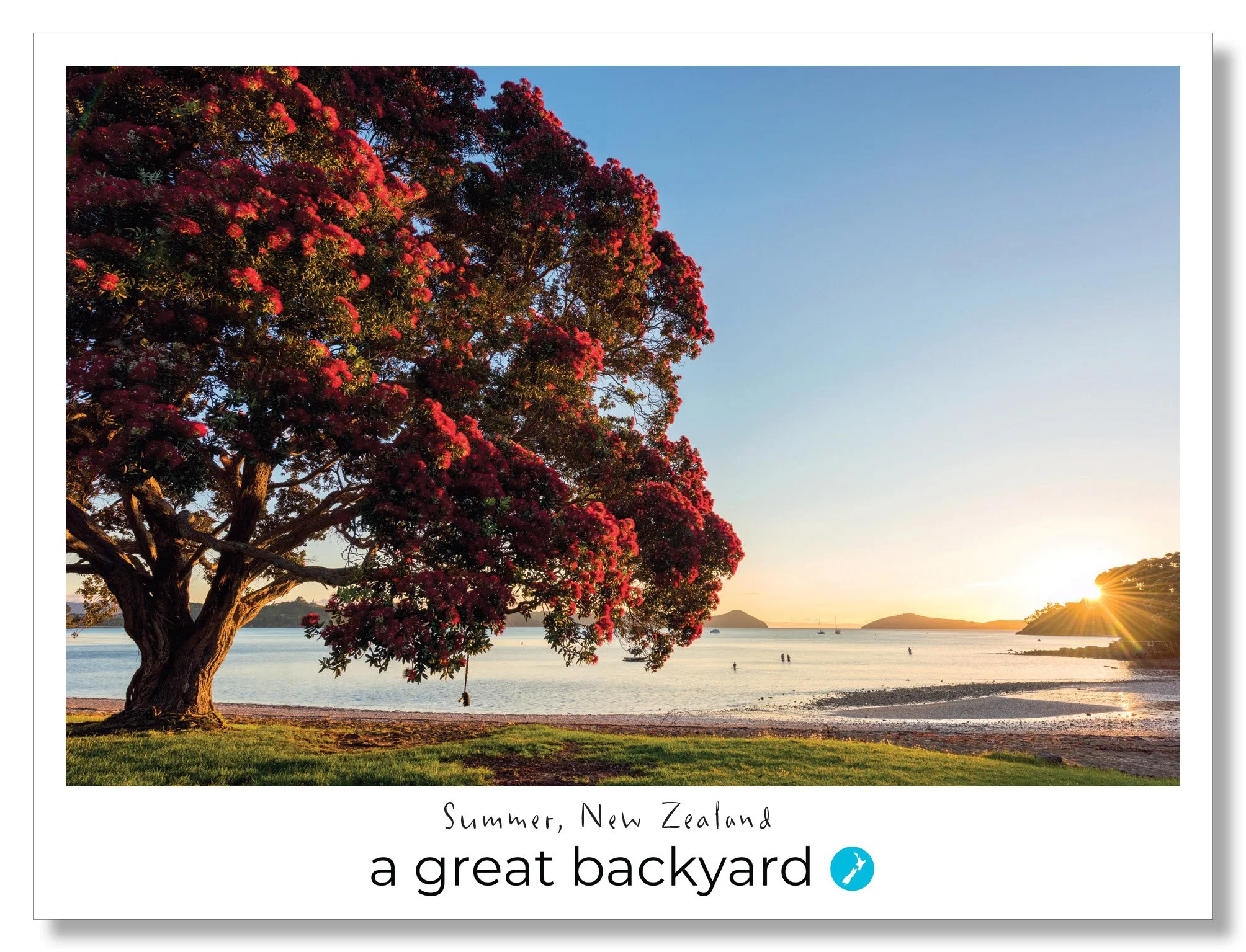 New Zealand Summer Postcard by Corin Walker Bain | a great backyard photography NZ