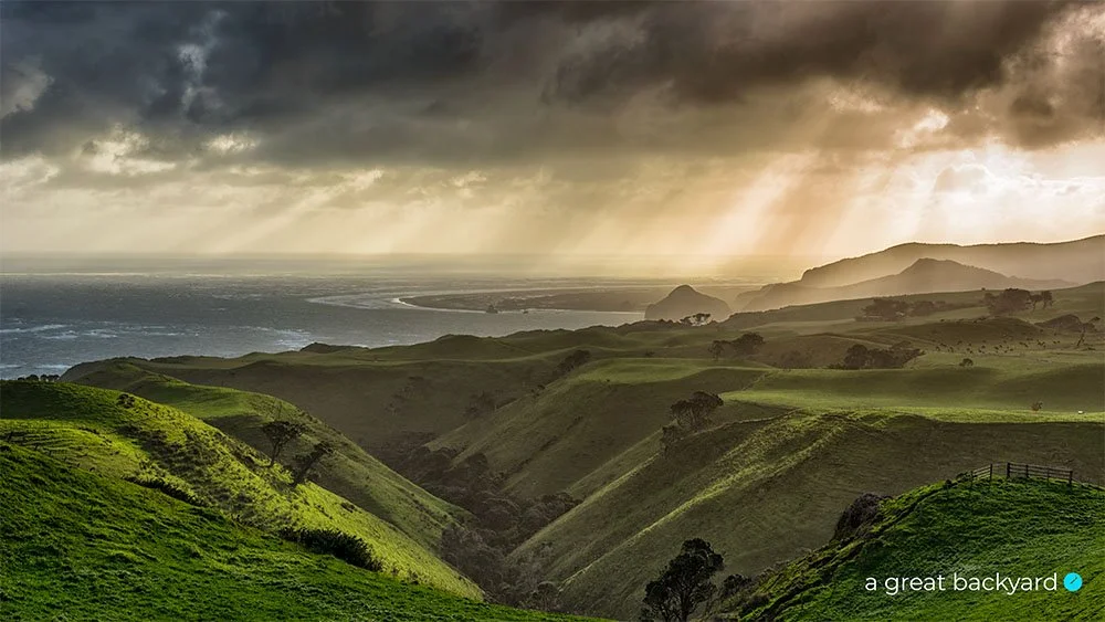 Awhitu Light by Corin Walker Bain | a great backyard New Zealand