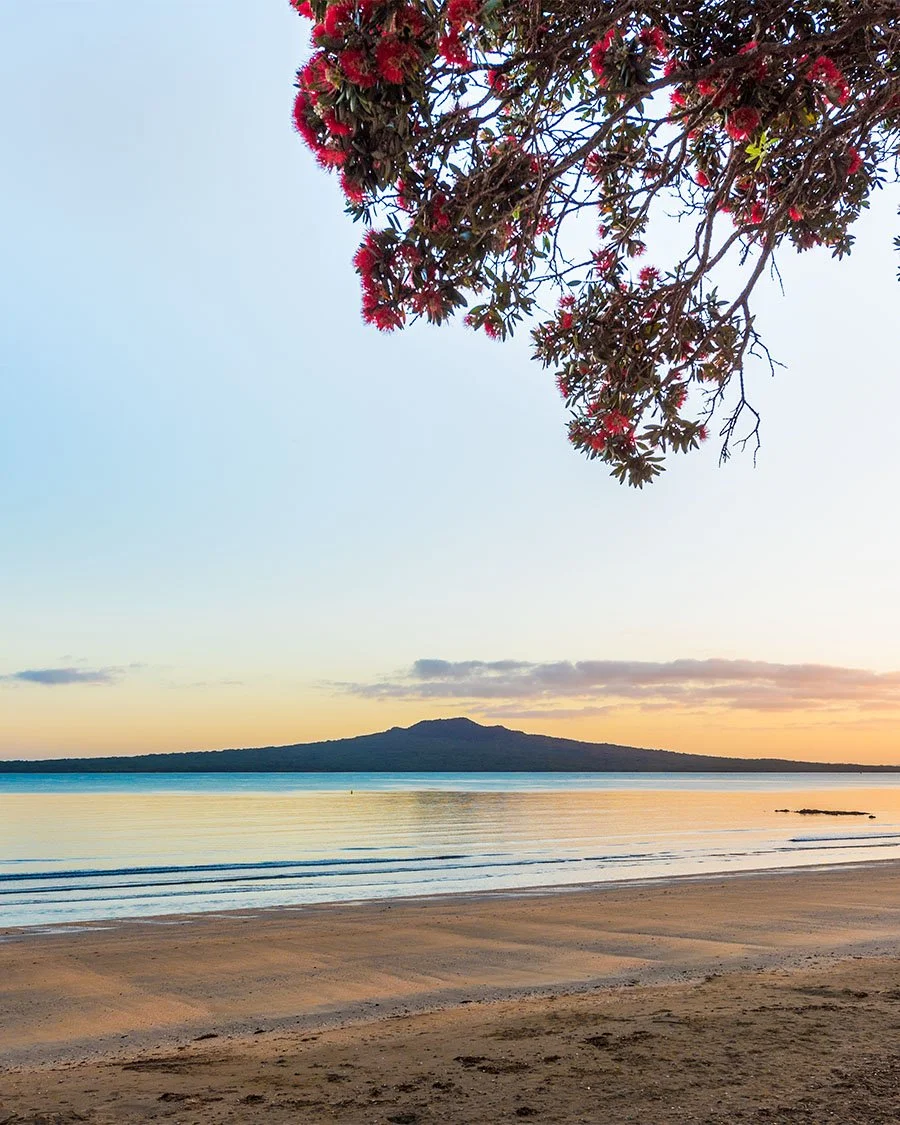 View across Narrowneck Beach towards Rangitoto Island, Auckland