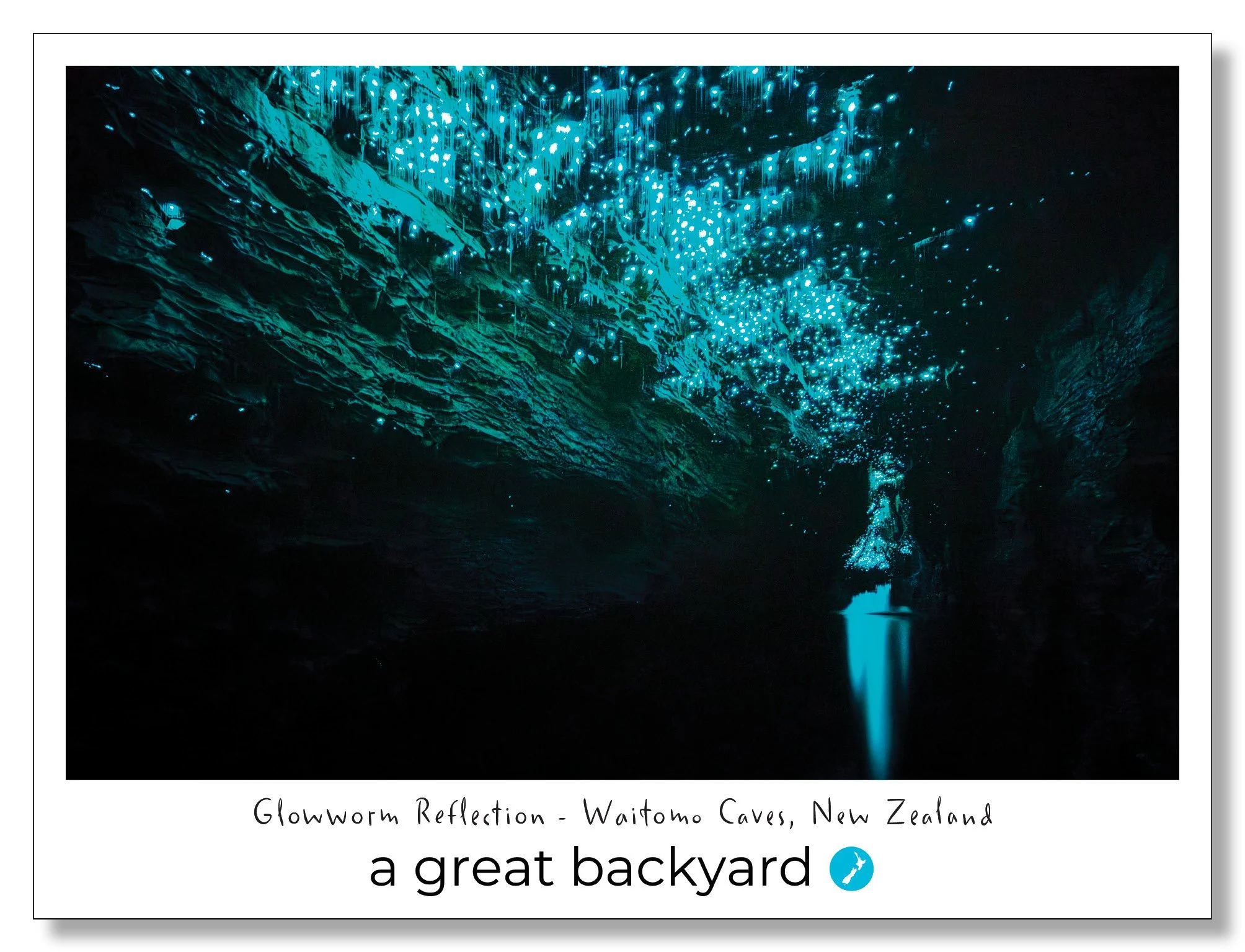 Glowworm Postcard by Corin Walker Bain | a great backyard photography NZ