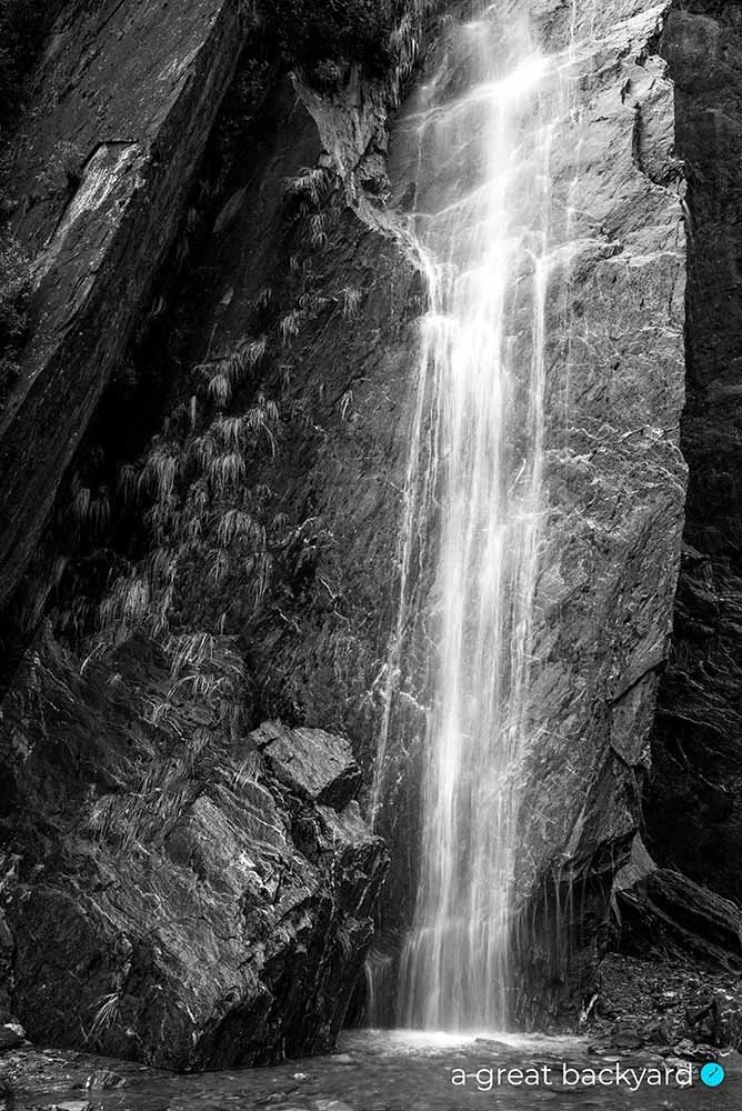 Franz Glacier waterfall by Corin Walker Bain | a great backyard New Zealand imagery