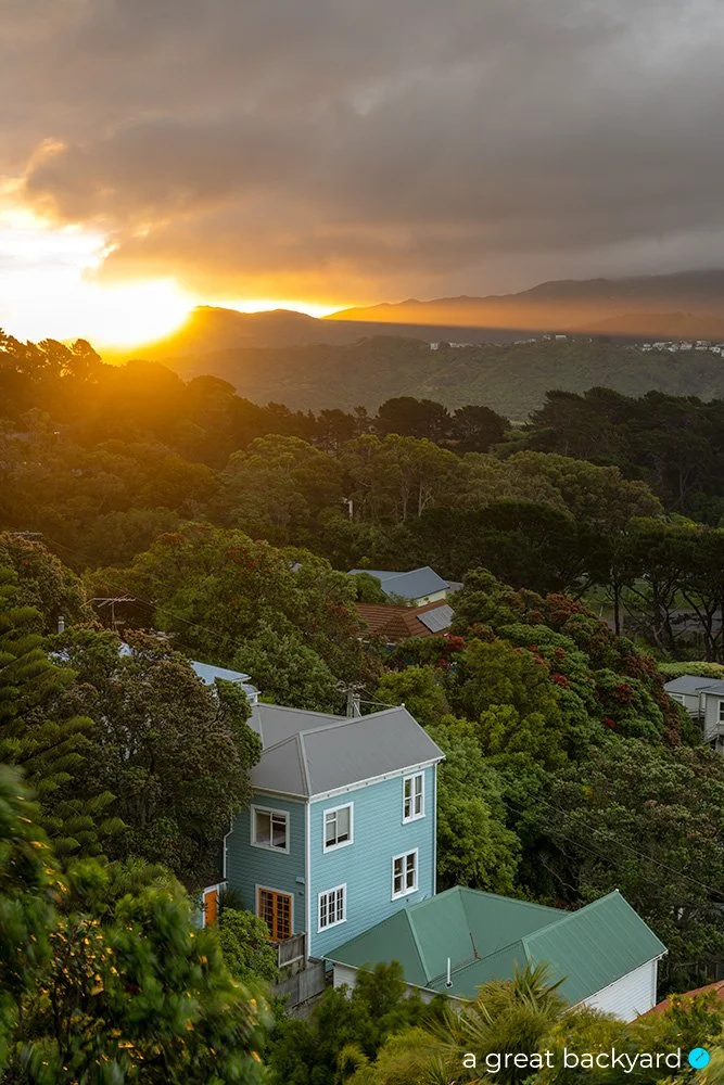 Melrose Hill View Corin Walker Bain | a great backyard New Zealand