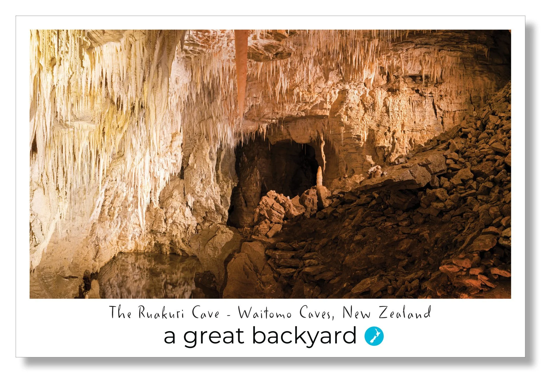 Ruakuri Pretties Postcard by Corin Walker Bain | a great backyard photography NZ