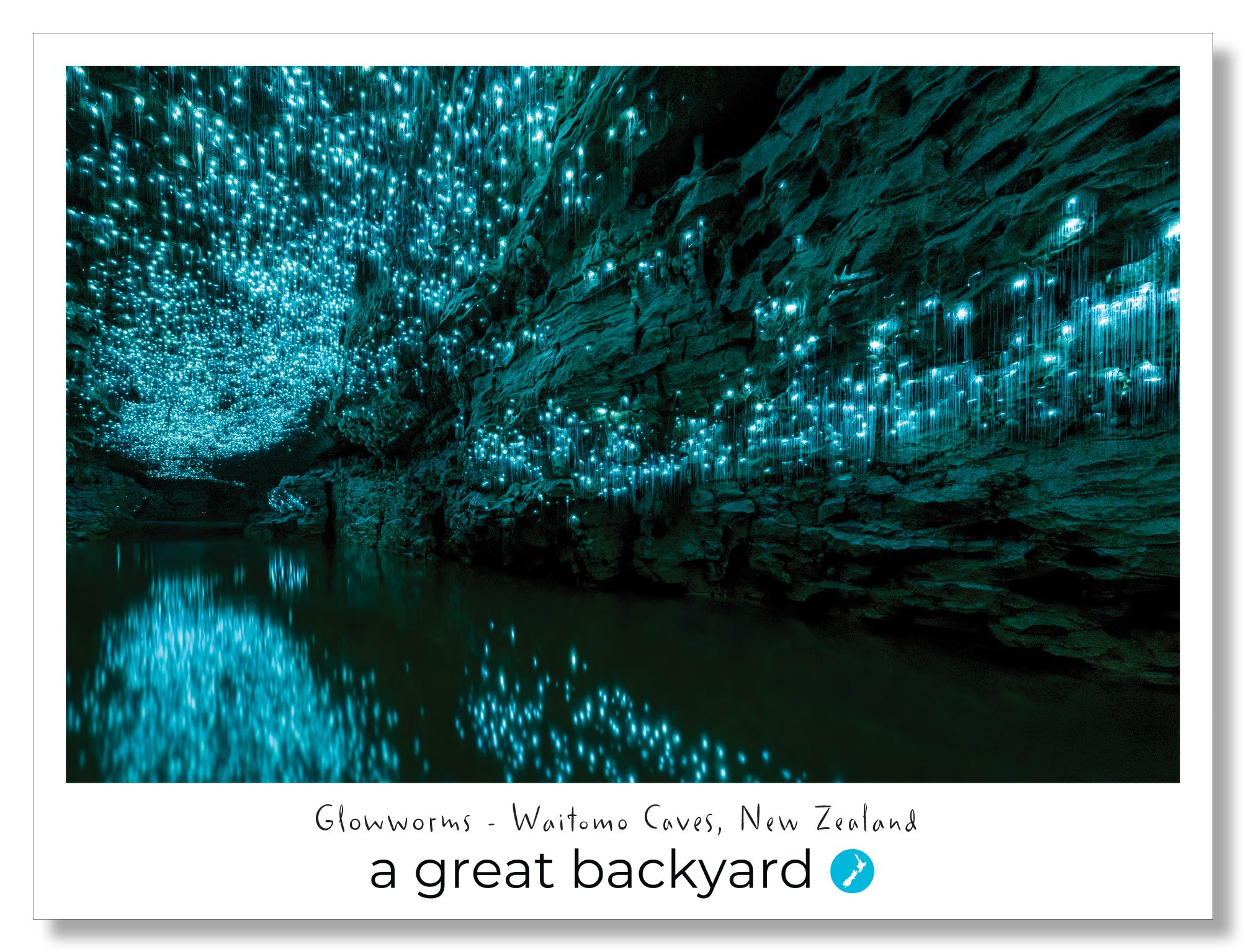 Glowworms Postcard by Corin Walker Bain | a great backyard photography NZ