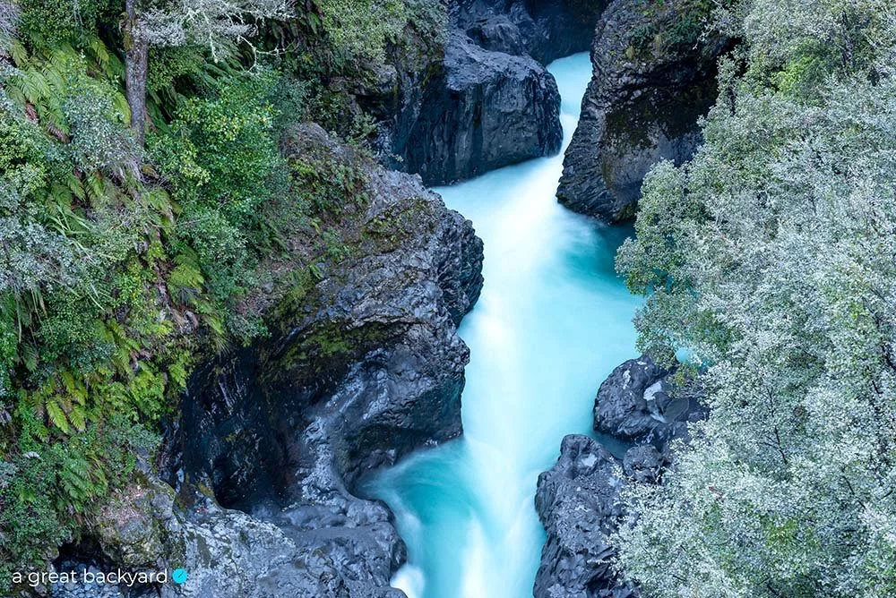 Tree Trunk Gorge under ashfall by Corin Walker Bain | a great backyard New Zealand photography