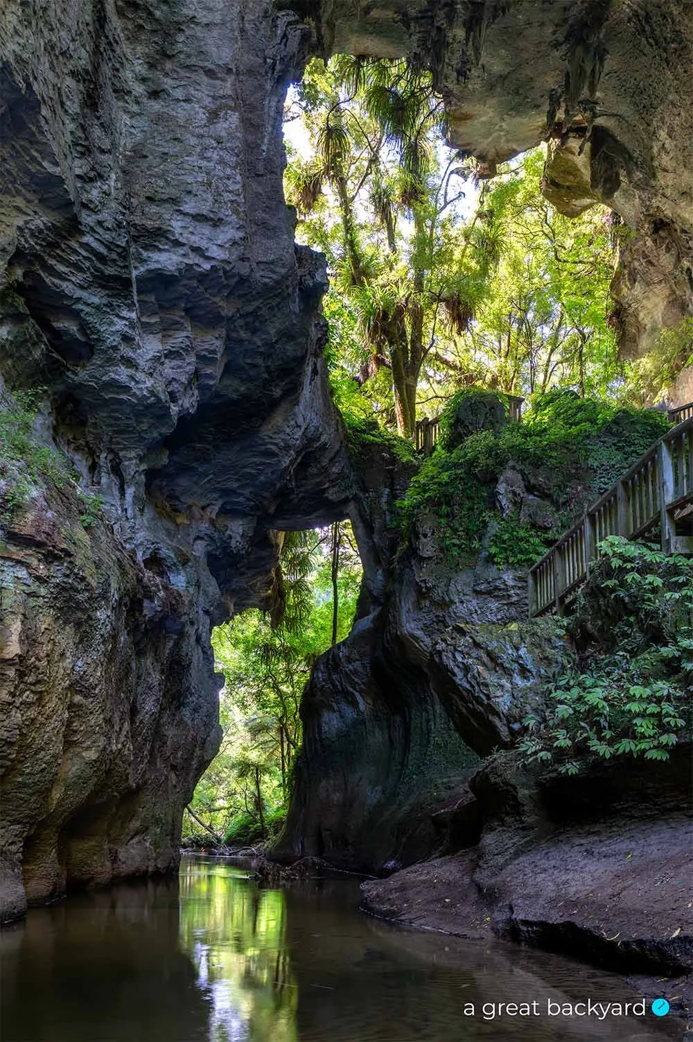 Mangapohue Natural Bridge by Corin Walker Bain | a great backyard New Zealand landscape prints