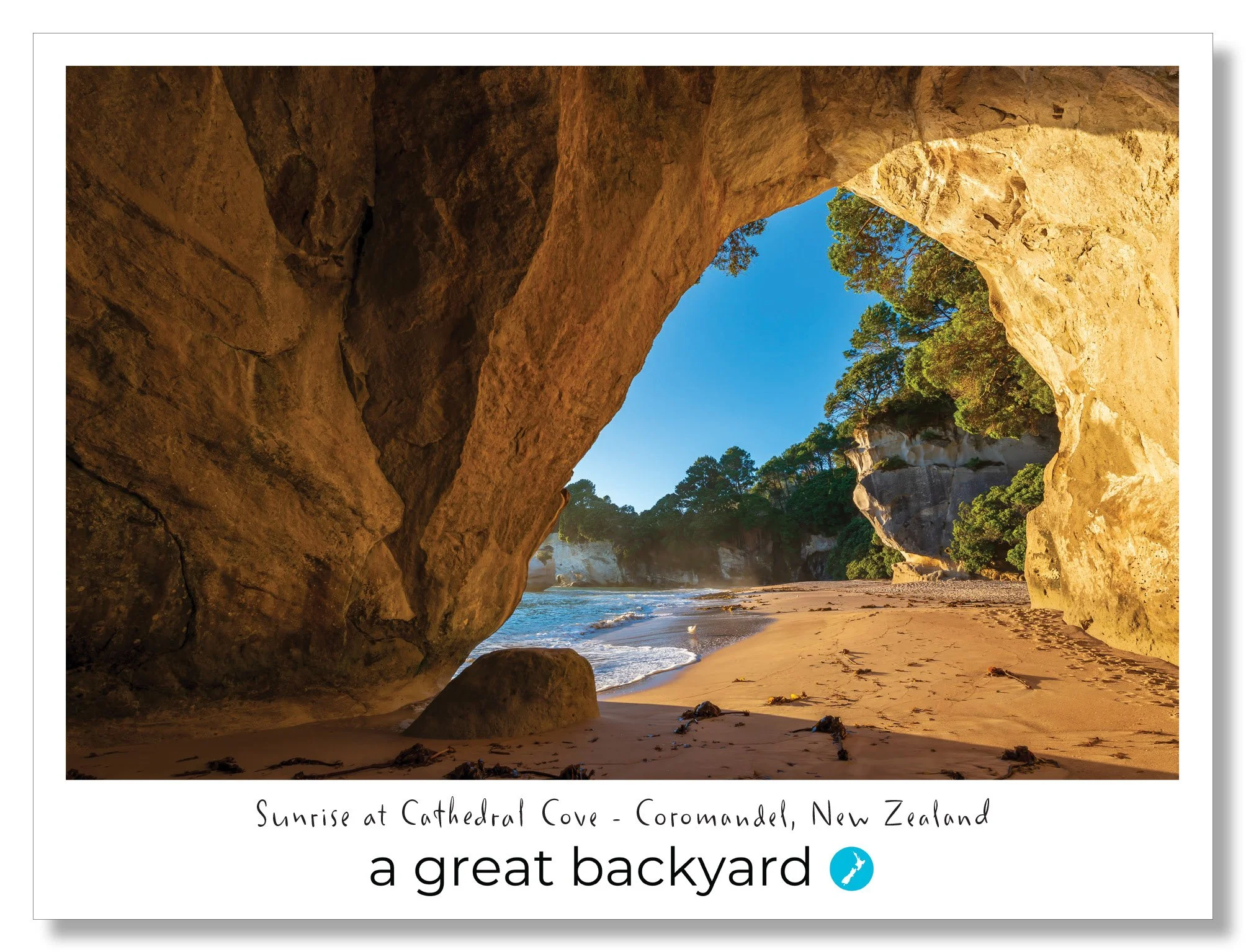 Cathedral Cove  Postcard by Corin Walker Bain | a great backyard photography NZ