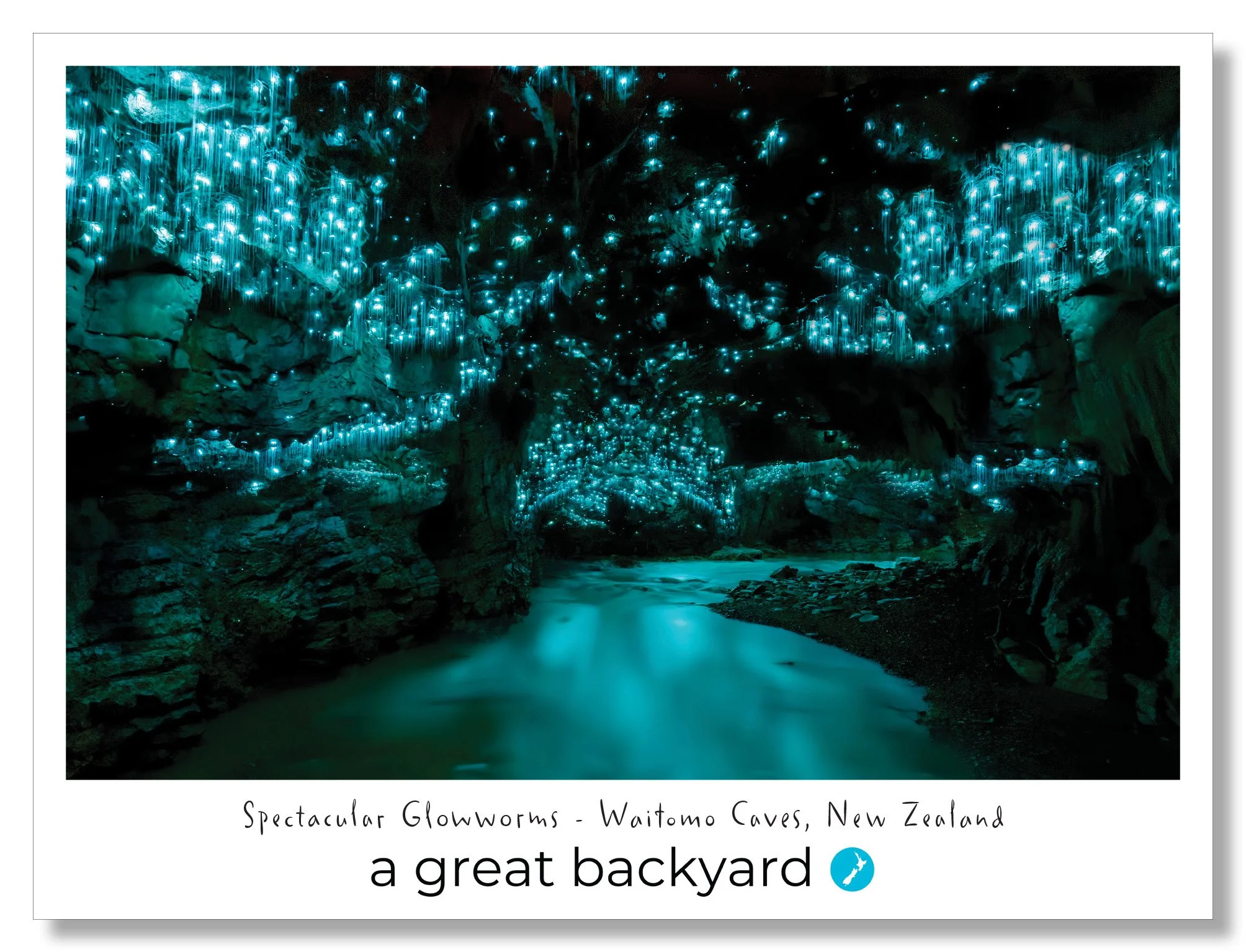 Glowworms Postcard by Corin Walker Bain | a great backyard photography NZ