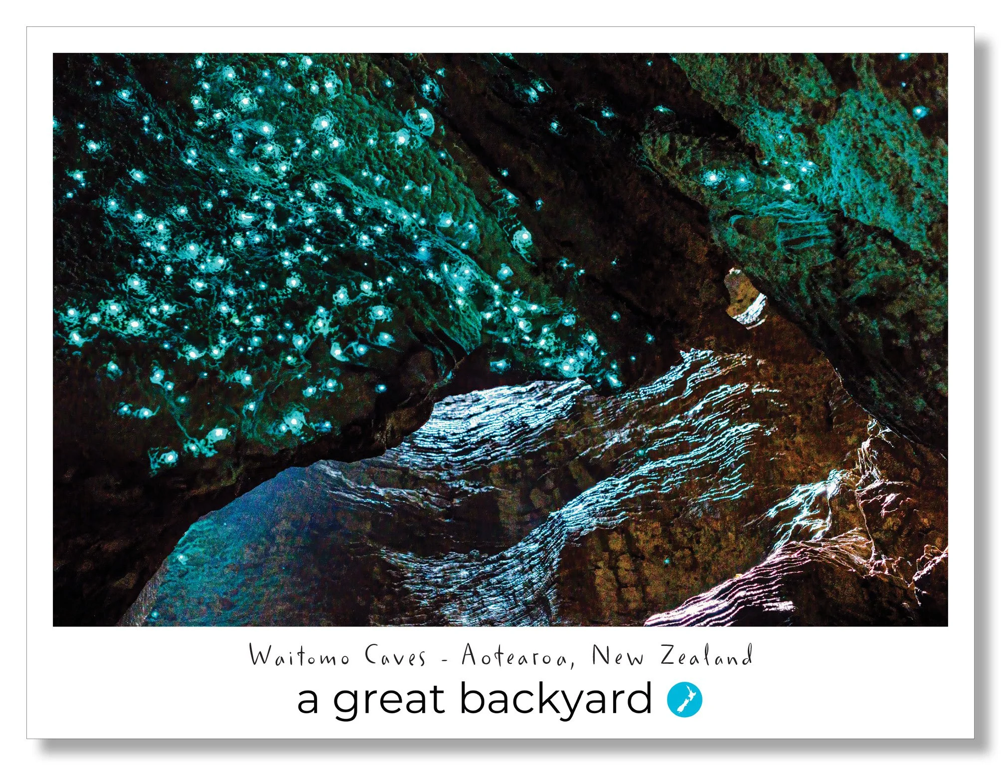 Glowworms Postcard by Corin Walker Bain | a great backyard photography NZ
