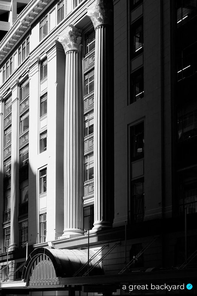 Black and white image of Wellington building in light by Corin Walker Bain | a great backyard
