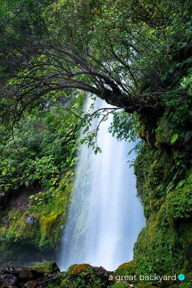 Dawson Falls detail, Taranaki, New Zealand