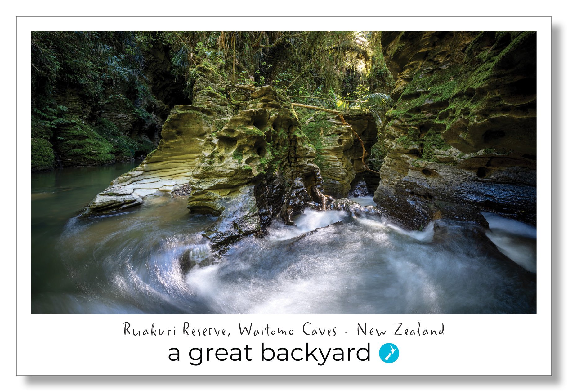 Ruakuri Reserve Postcard by Corin Walker Bain | a great backyard photography NZ