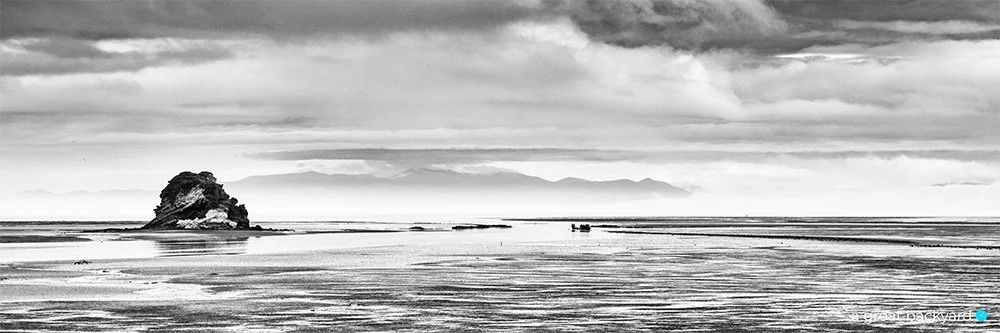 Puponga View, Golden Bay in black and white by Corin Walker Bain | a great backyard New Zealand landscape photography