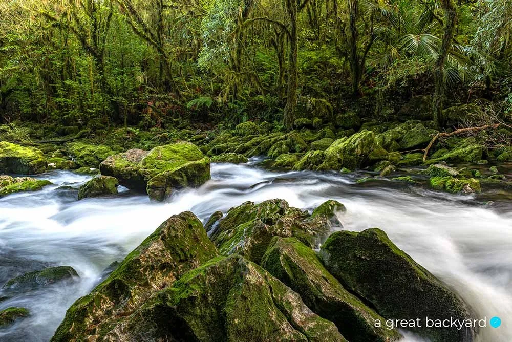 Rikiwaka River by Corin Walker Bain | a great backyard New Zealand landscape prints