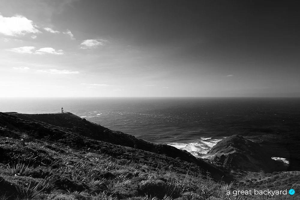 Cape Reinga black and white print by Corin Walker Bain | a great backyard