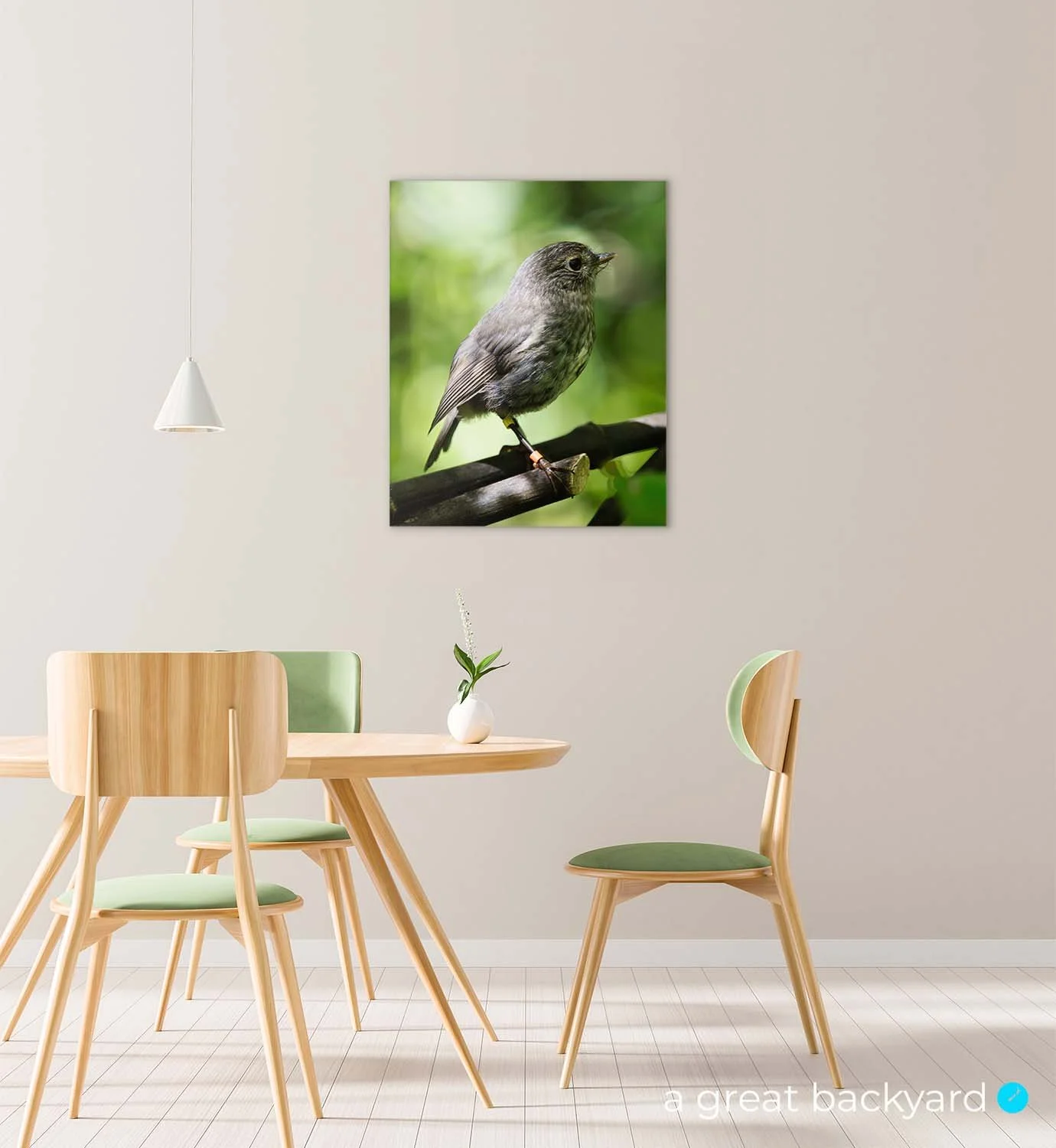 North Island Robin | Toutouwai print hanging on home wall | a great backyard print and design