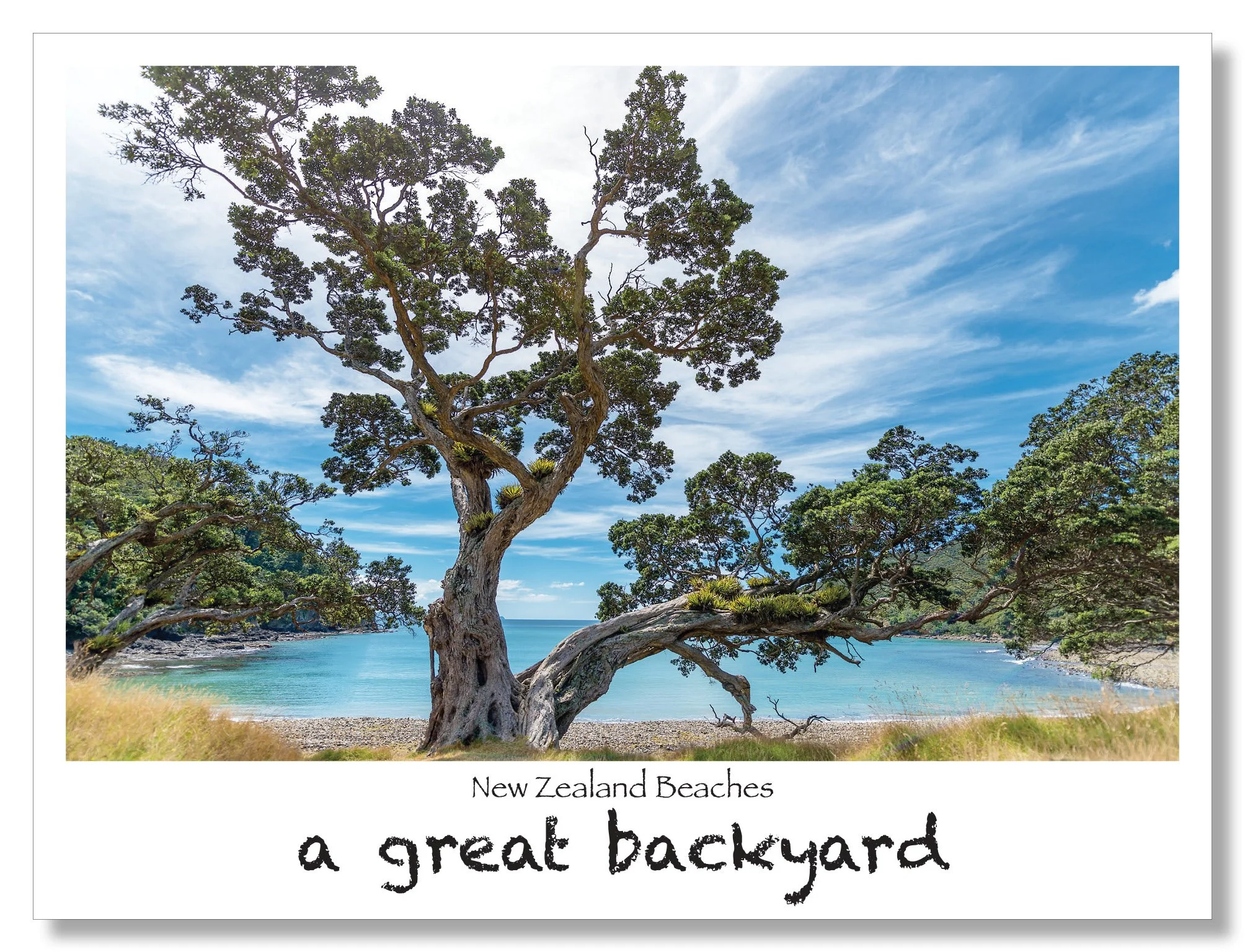 New Zealand Beaches Postcard by Corin Walker Bain | a great backyard photography NZ