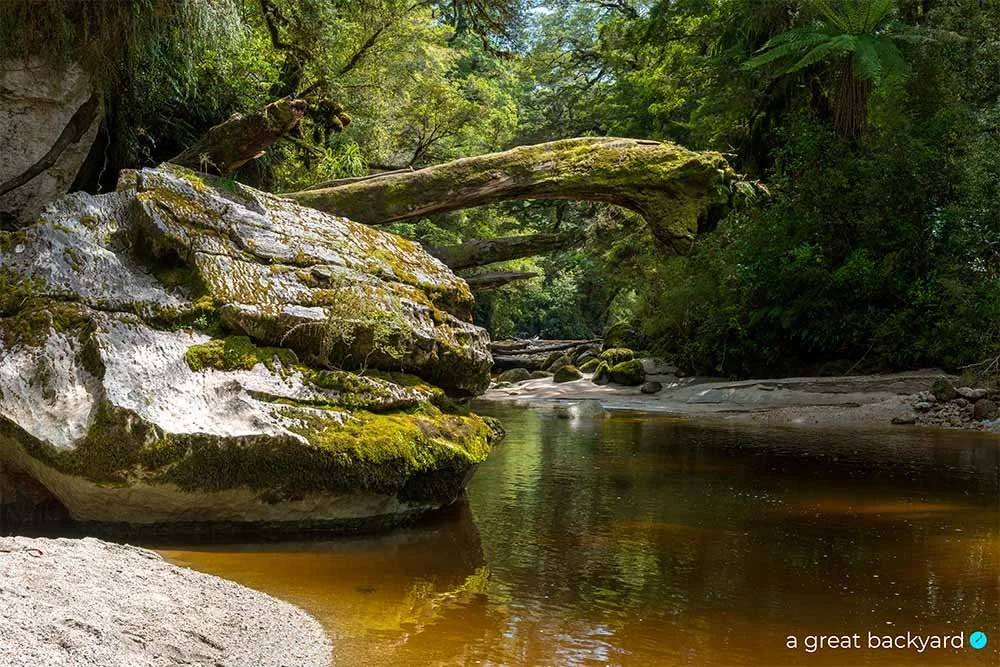 Ōpārara River Rock by Corin Walker Bain | a great backyard epic NZ imagery