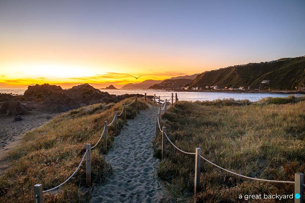 Sunset beach path in Wellington by Corin Walker Bain | a great backyard print studio