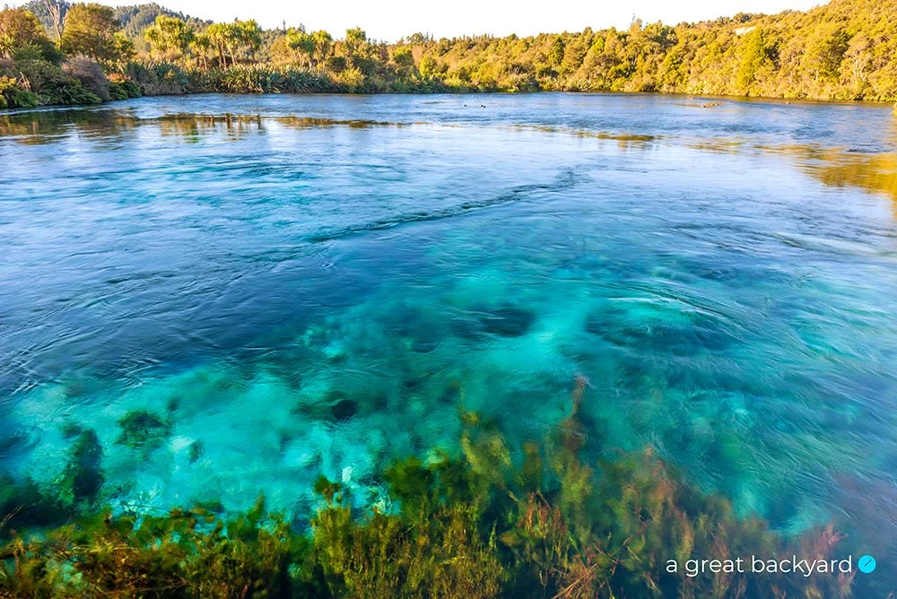 Waikoropupū Springs by Corin Walker Bain | a great backyard New Zealand landscape prints