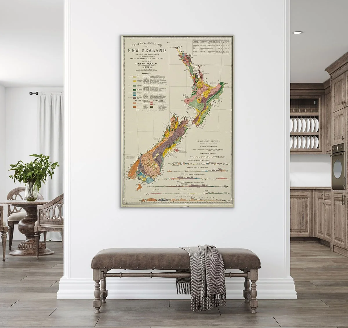 Vintage Geological map of New Zealand hanging on home wall | a great backyard