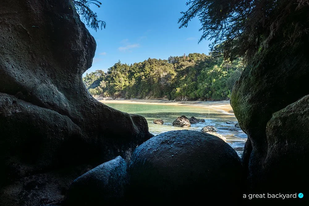 Split Apple Rock Beach View by Corin Walker Bain | a great backyard New Zealand landscape photography prints