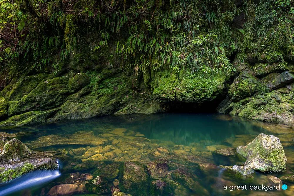 Riwaka Resurgence by Corin Walker Bain | a great backyard New Zealand landscape prints