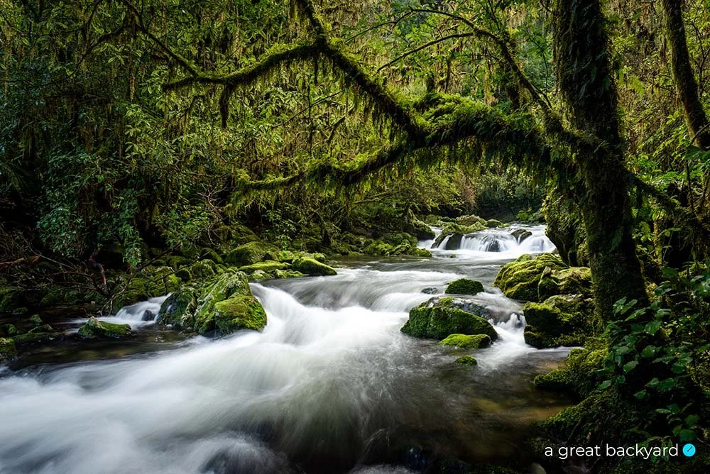 Rikiwaka River by Corin Walker Bain | a great backyard landscape photography prints