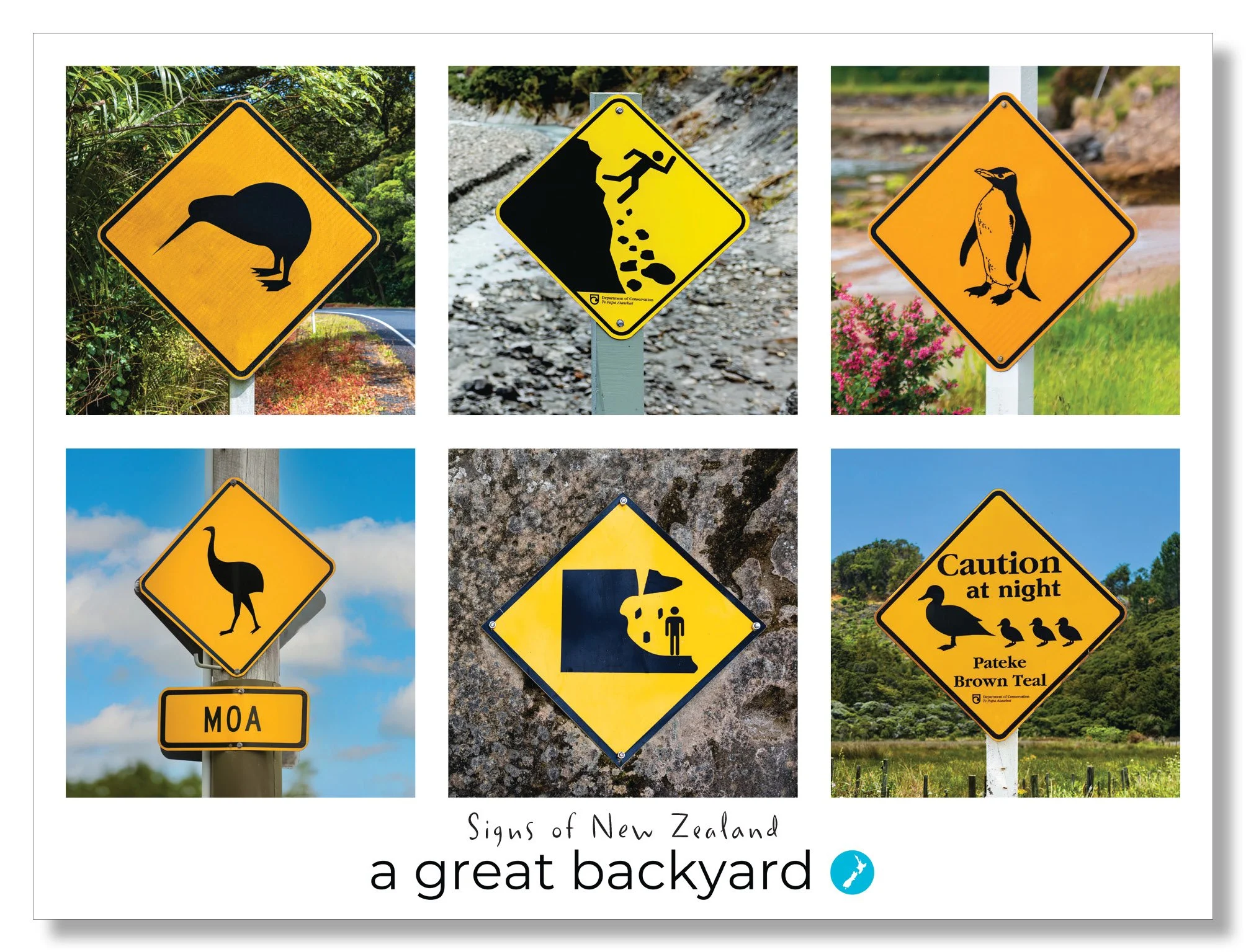 Signs of New Zealand Postcard by Corin Walker Bain | a great backyard photography
