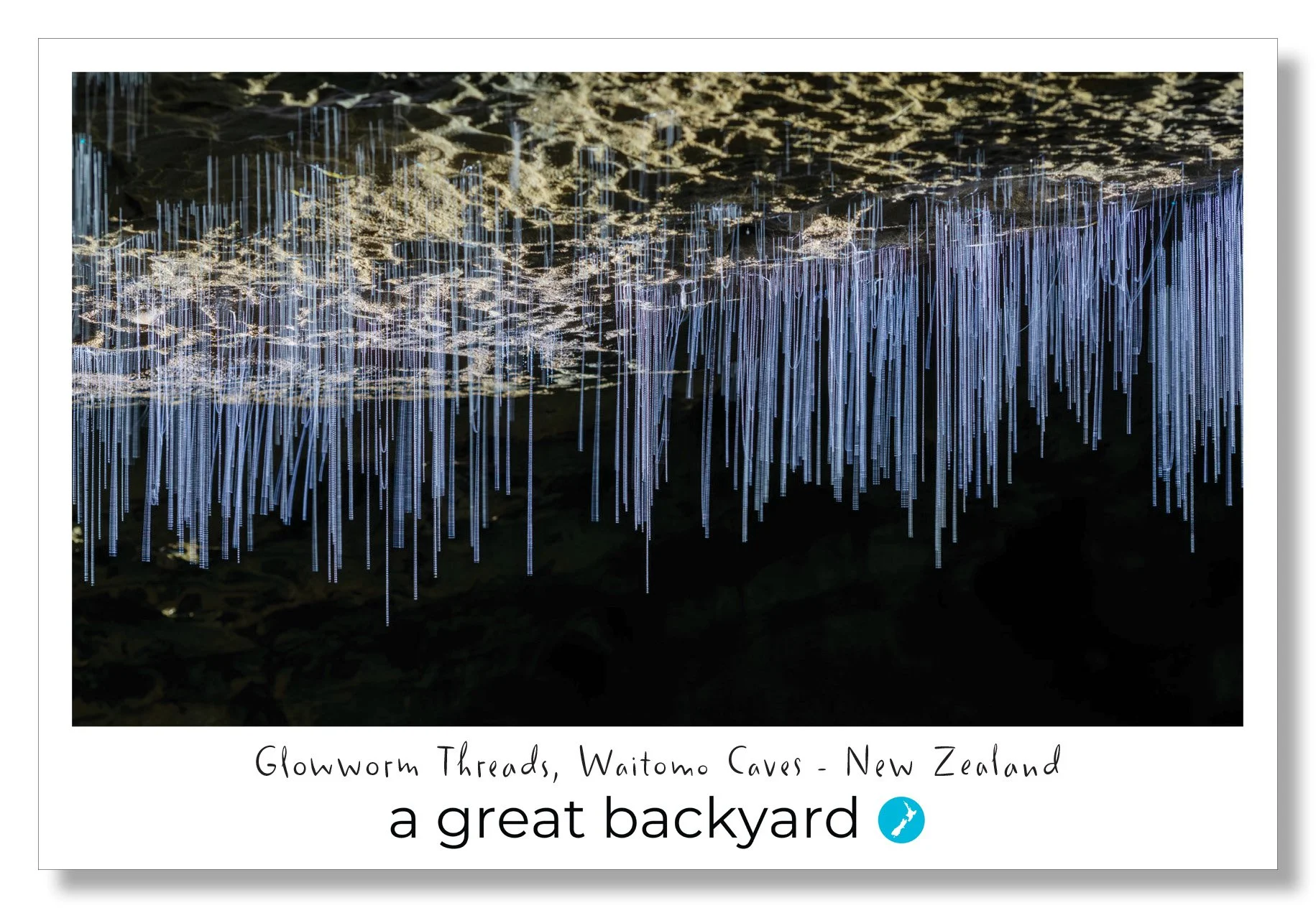Glowworm Threads Postcard by Corin Walker Bain | a great backyard photography NZ