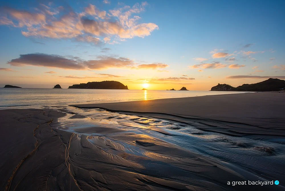 View of Hahei beach at dawn, Coromandel, New Zealand